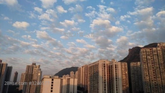 Peter's House Sell 1 Bedroom , 1 Bathroom 353 ft²