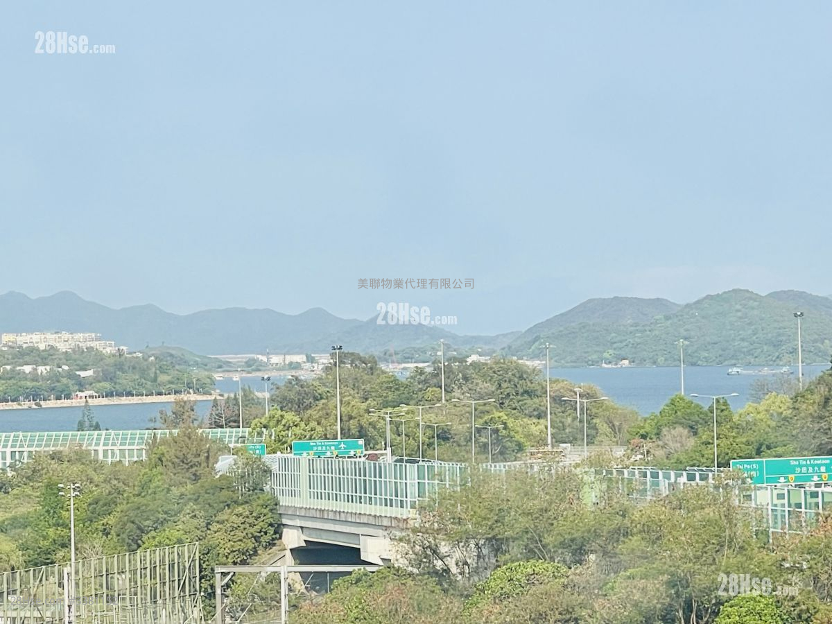新達廣場 租盤 489 平方呎