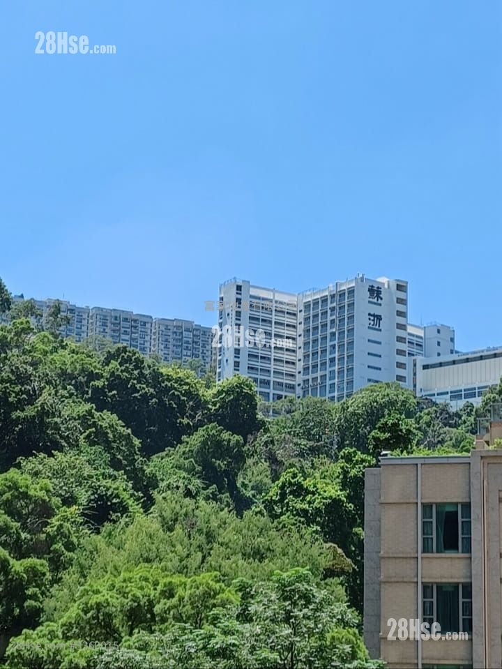 Siu Nin Building Sell Studio , 1 Bathroom 161 ft²