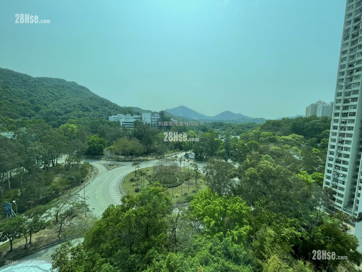 Royal Knoll Sell 4 Bedrooms 944 ft²