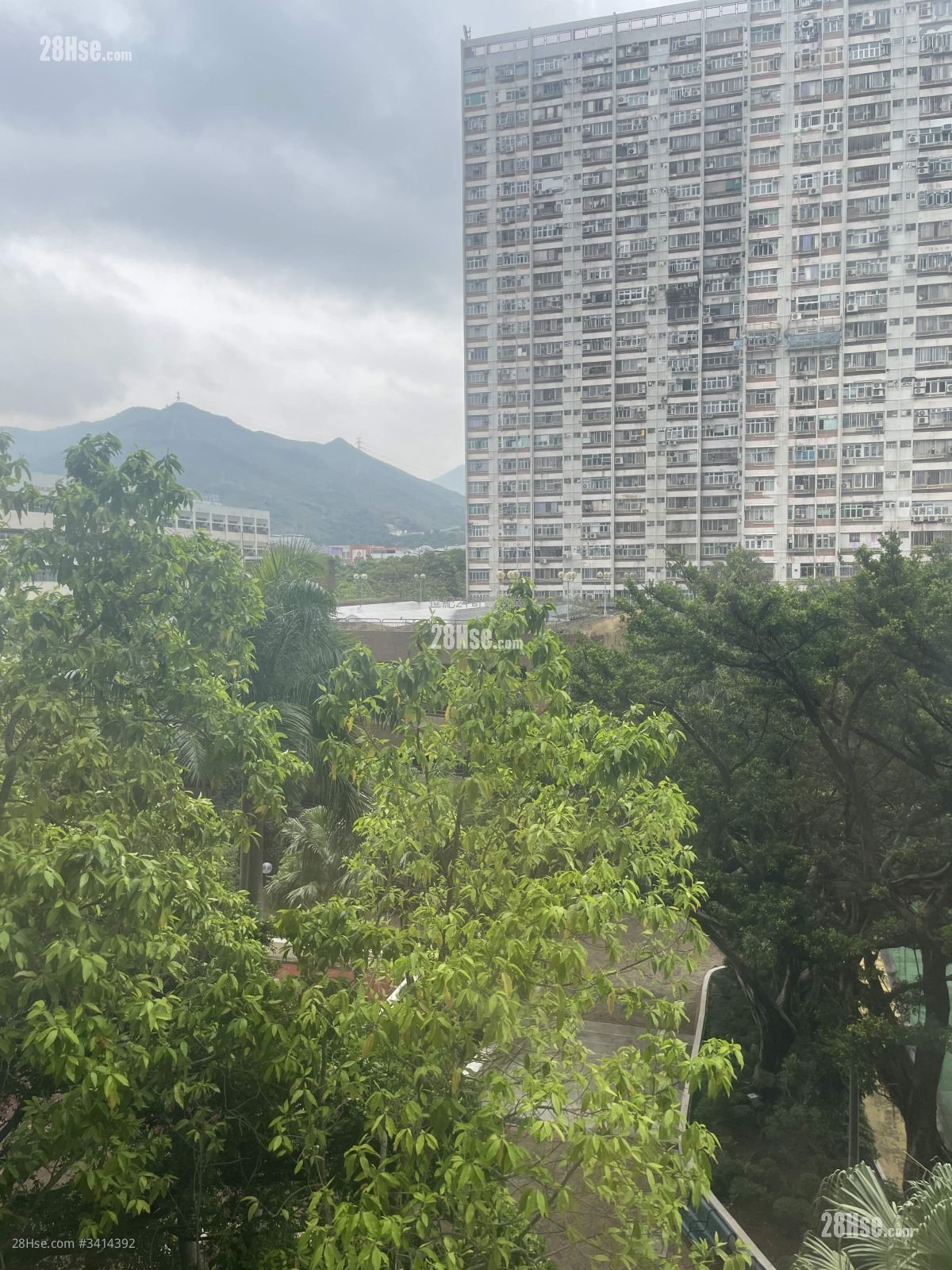 祥華邨 售盤 1 浴室 381 平方呎