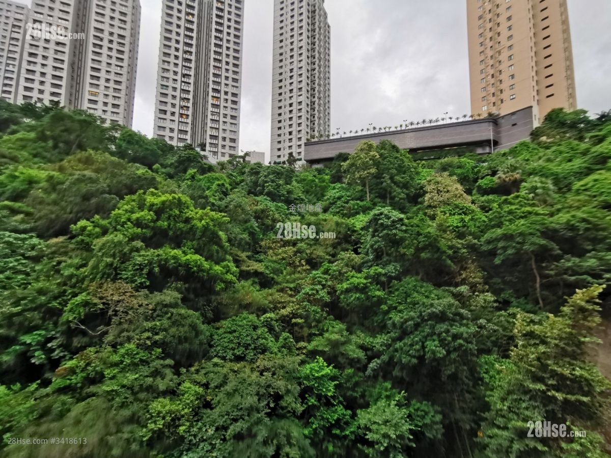 金山花園 租盤 3 房 909 平方呎