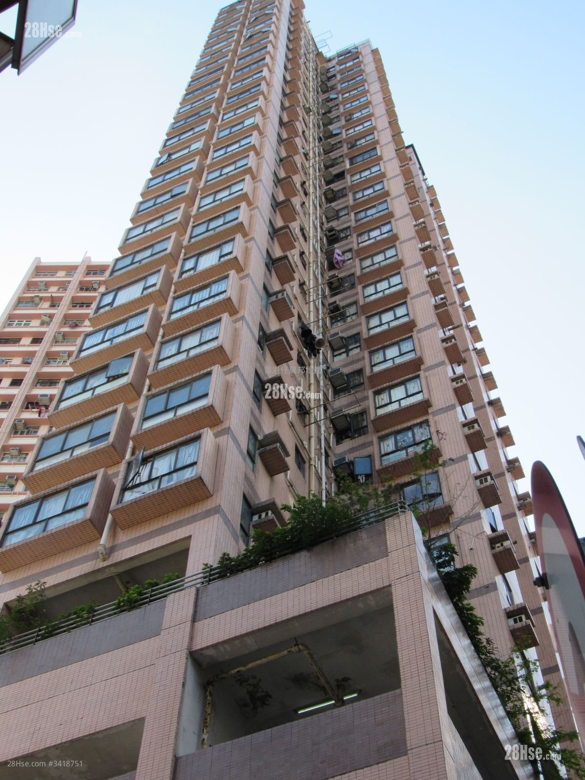 南景花园 售盘 1 房 254 平方尺