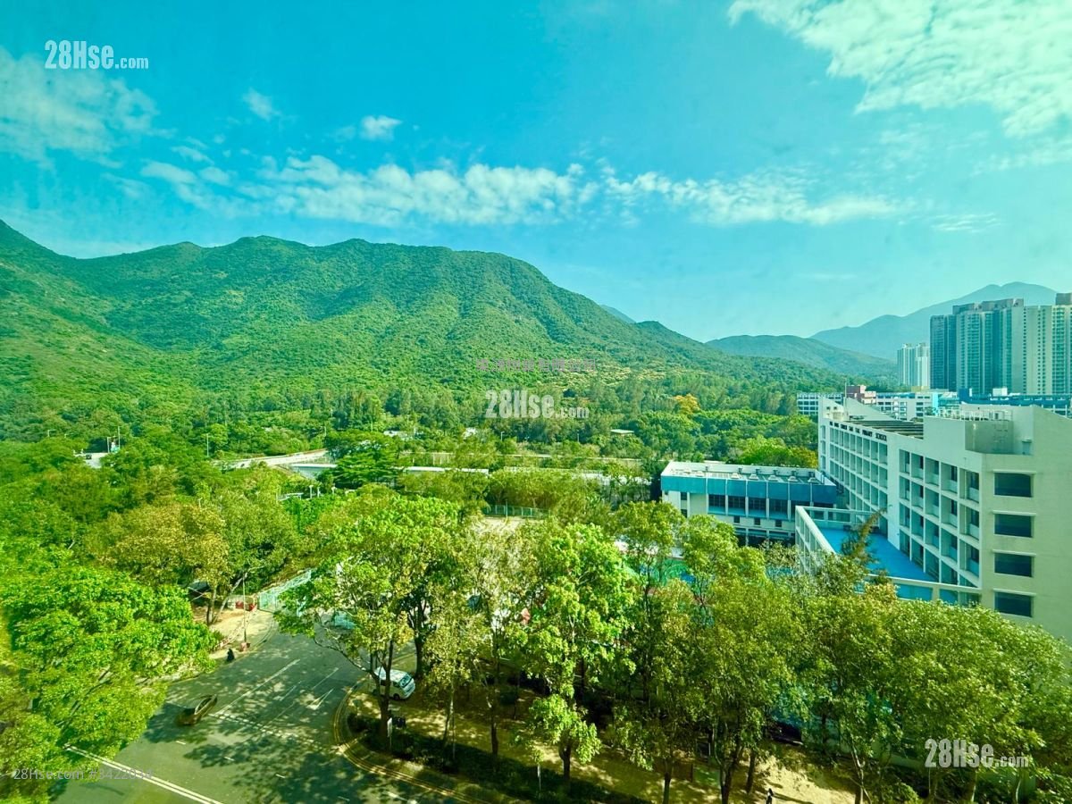 Coastal Skyline Sell 1 Bedroom , 1 Bathroom 388 ft²