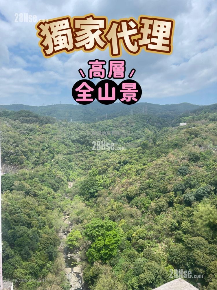 荃湾中心 售盘 1 房 , 1 浴室 324 平方尺