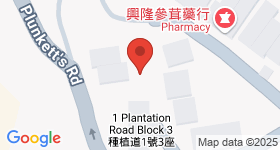 Phase 1 of 1 Plantation Road Map