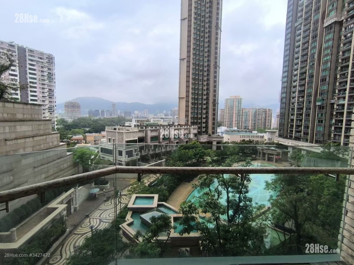 廳大房大,鋼需首選