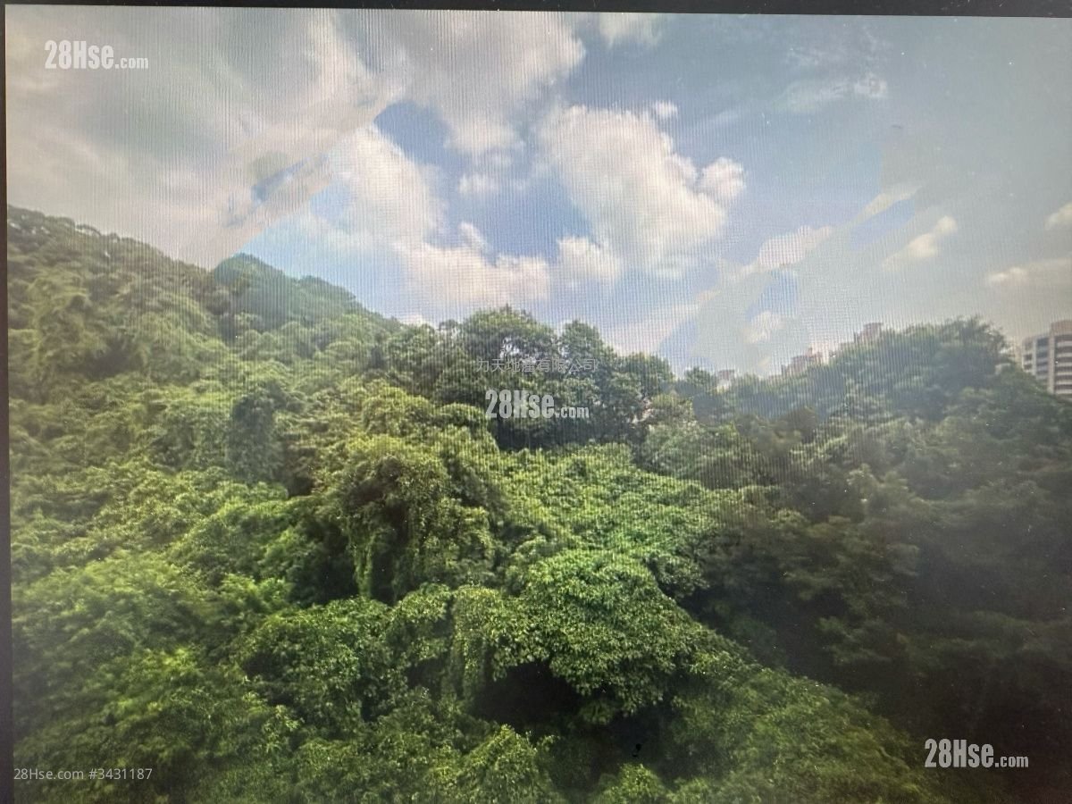 春暉花園 租盤 321 平方呎