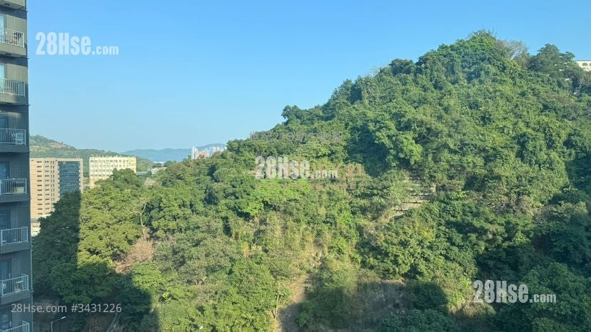 东湾阁 售盘 3 房 , 1 浴室 407 平方尺