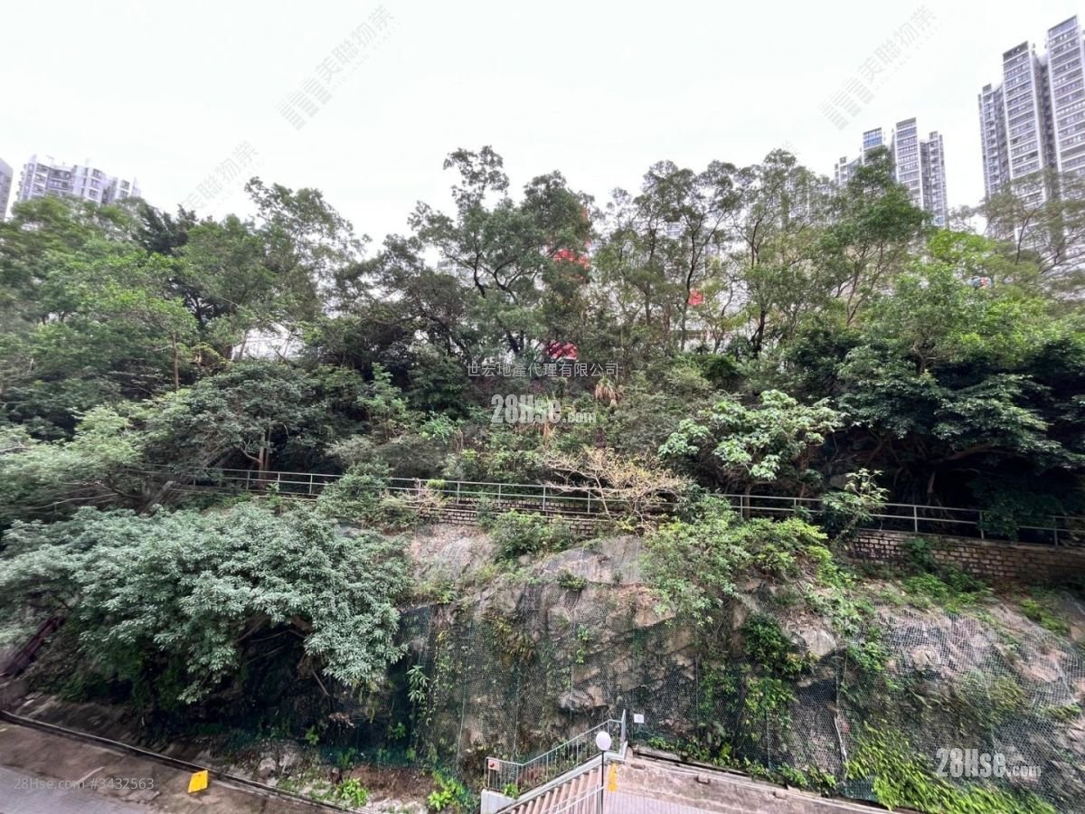 南豐新邨 售盤 3 房 , 1 浴室 570 平方呎