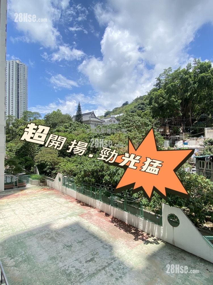 Belvedere Garden Rental 481 ft²