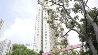 粉嶺中心 大廈