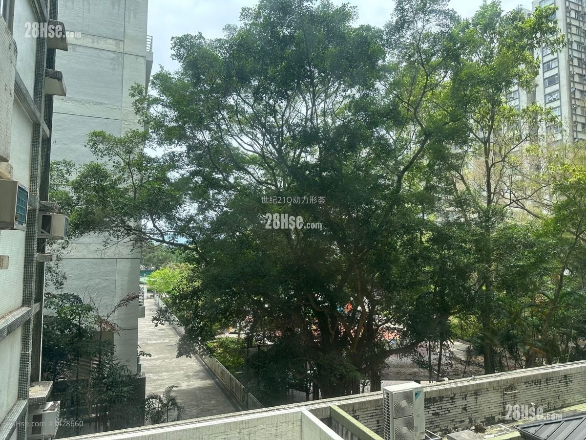 鲤景湾 租盘 2 房 , 1 浴室 498 平方尺