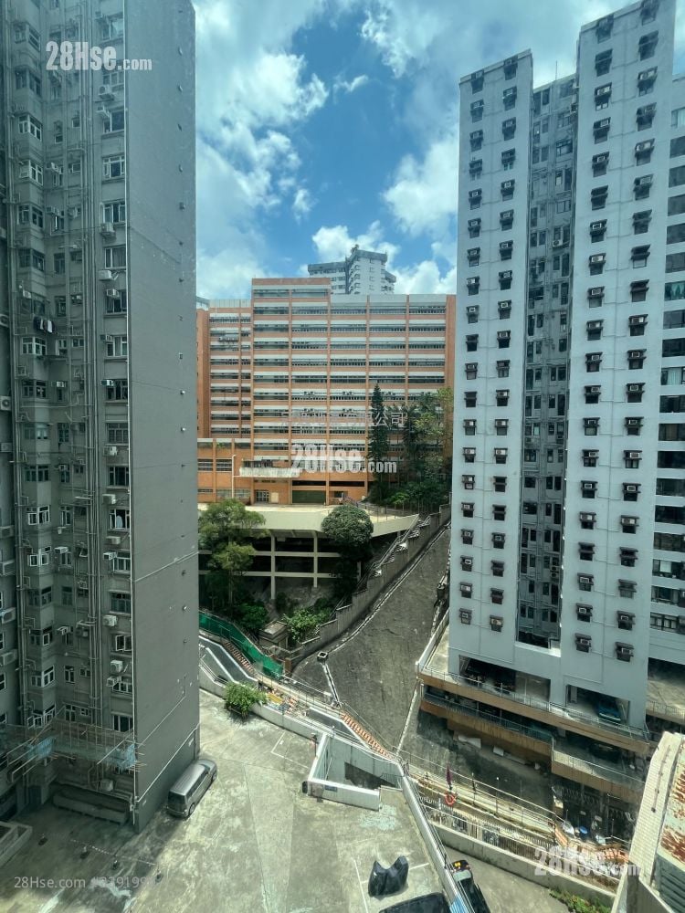 富丽园 租盘 3 房 , 2 浴室 681 平方尺
