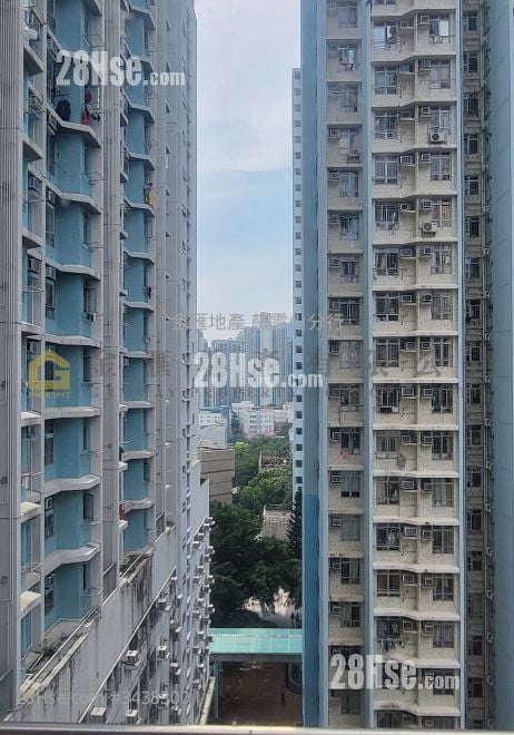 永发大厦 售盘 1 房 , 1 浴室 267 平方尺