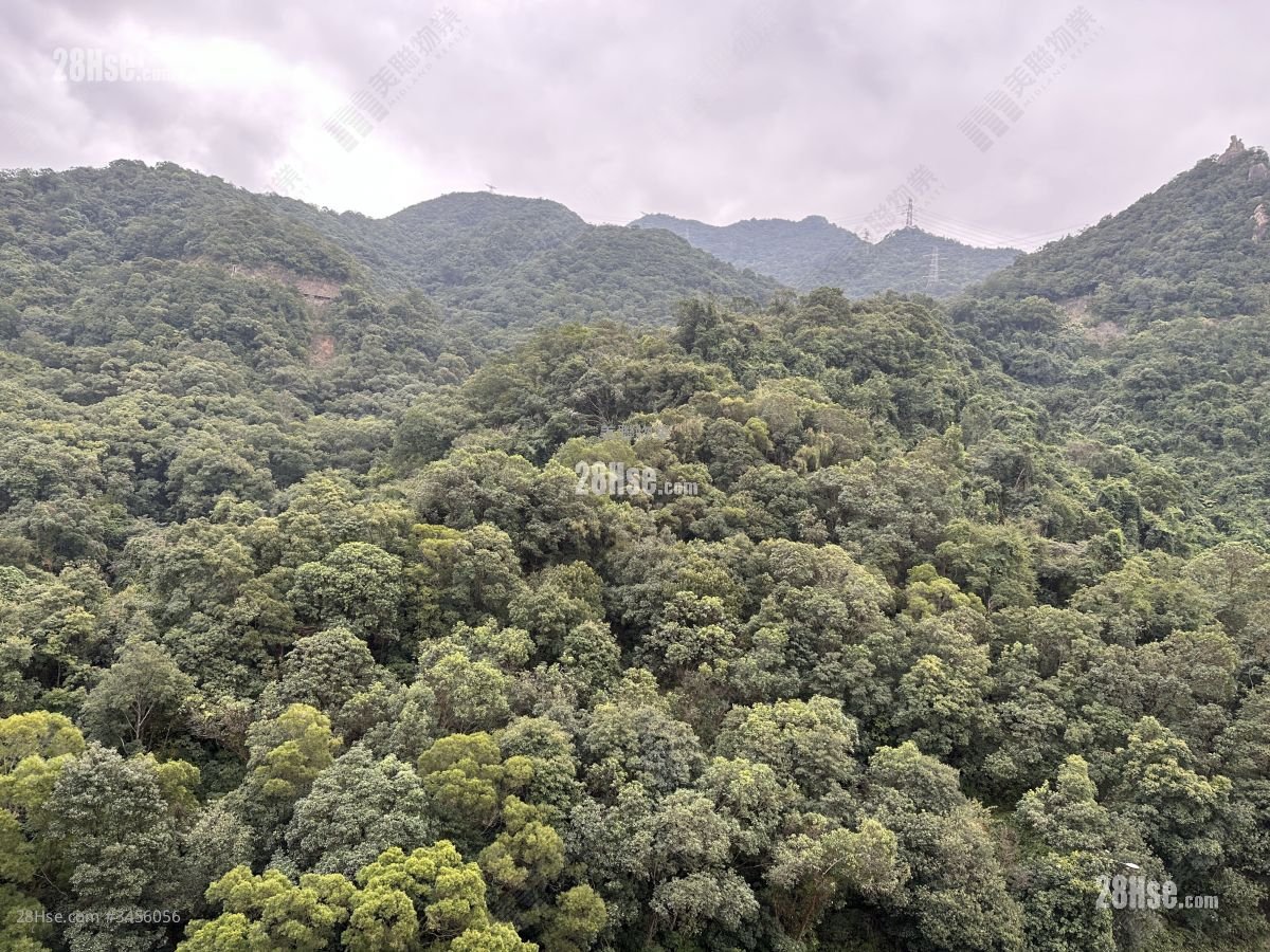 世界花园 售盘 2 房 , 1 浴室 880 平方尺
