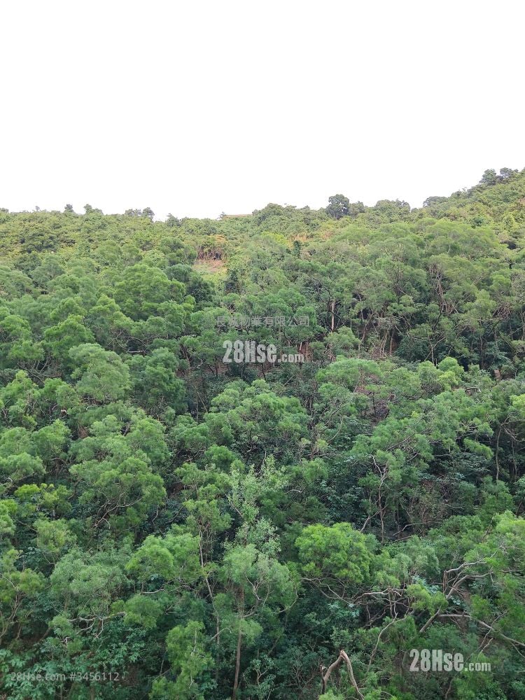 Fullview Garden Sell 3 Bedrooms 592 ft²