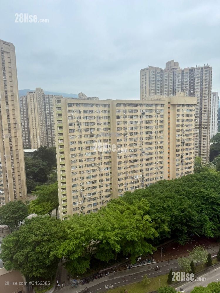 Greenery Plaza Sell 3 Bedrooms , 1 Bathroom 460 ft²