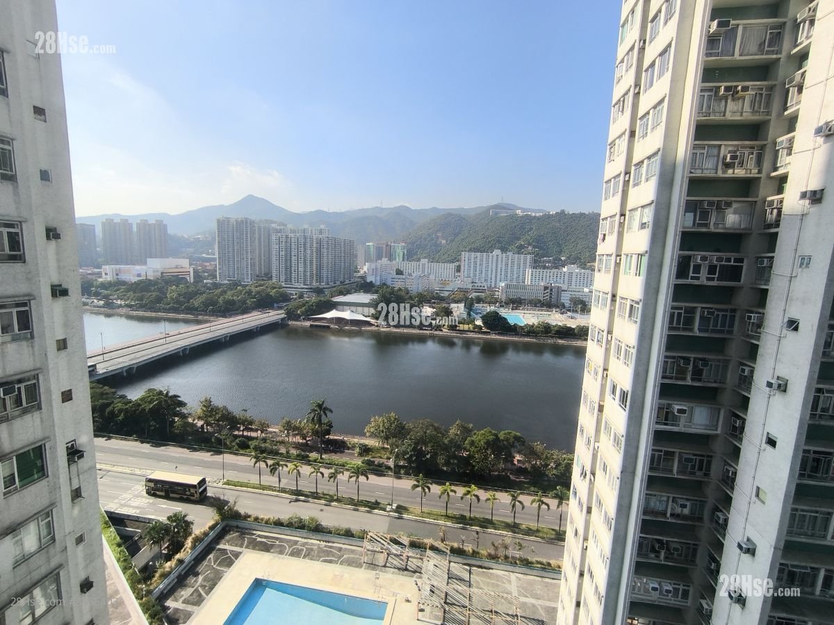 河畔花园 售盘 1 房 269 平方尺