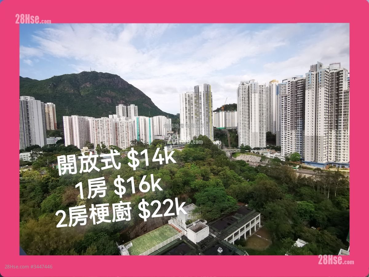 泰峯 租盤 1 房 , 1 浴室 378 平方呎