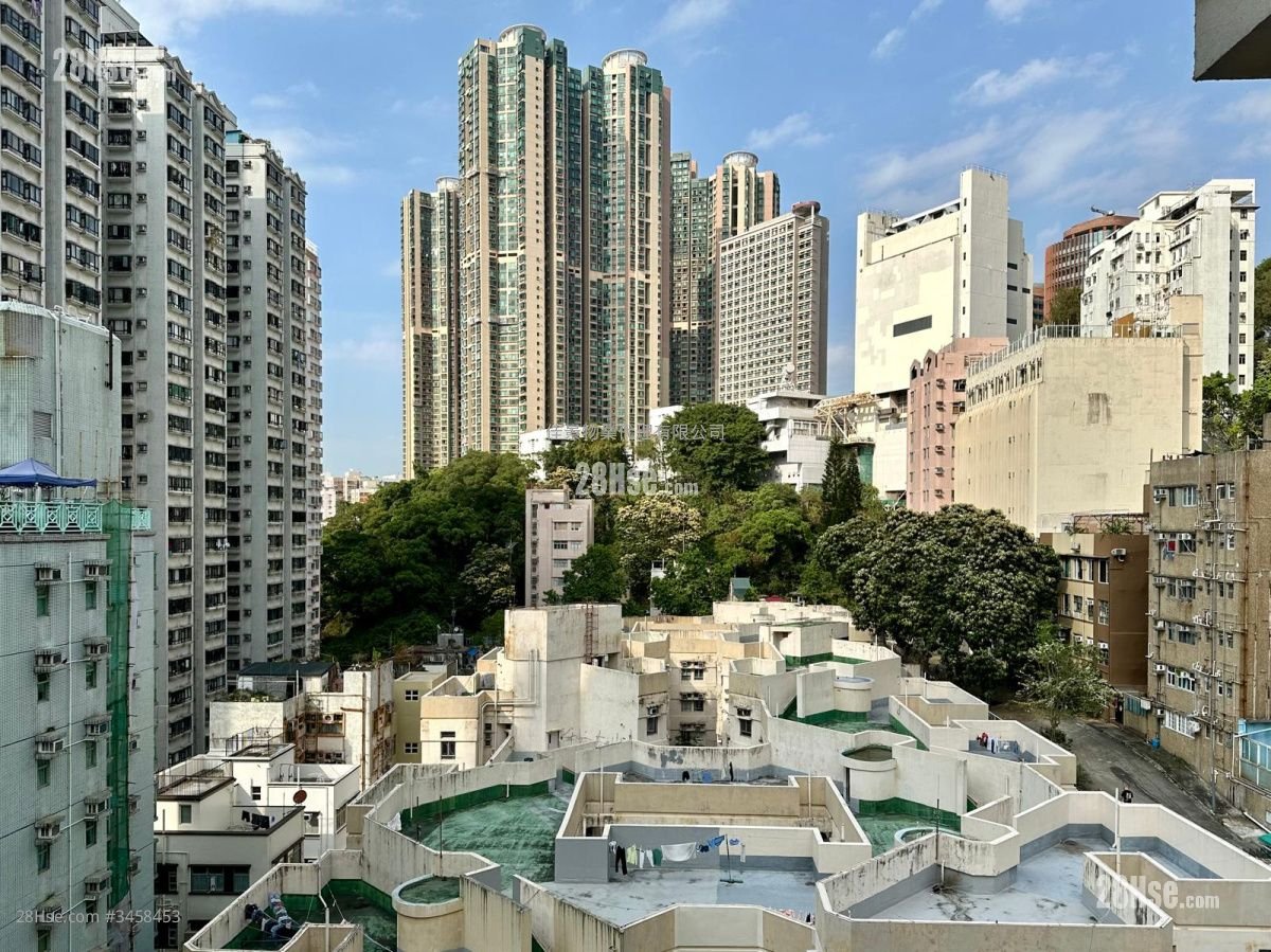 开扬景观
