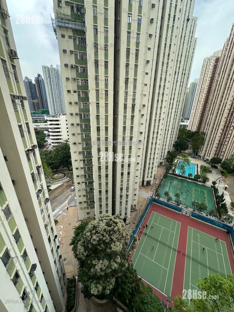丽晶花园 售盘 407 平方尺