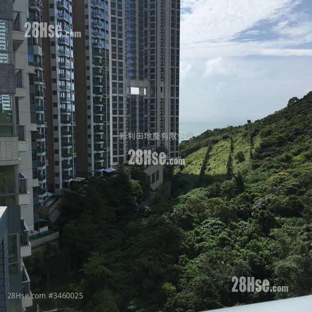 南湾 售盘 1 房 , 1 浴室 462 平方尺