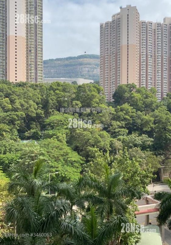Hiu Lai Court Sell 604 ft²