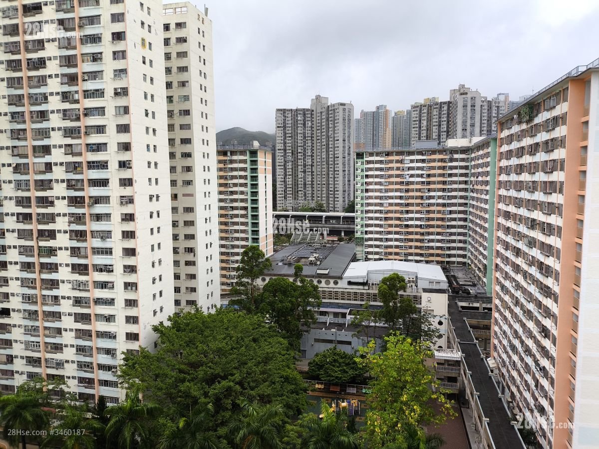 Yue Shing Court Sell 2 Bedrooms , 1 Bathroom 551 ft²