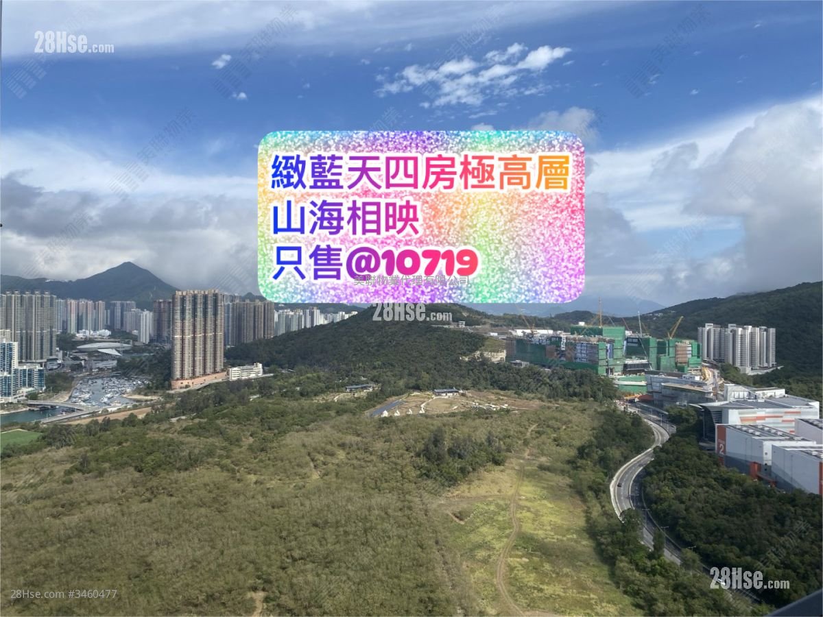 致蓝天 售盘 4 房 959 平方尺