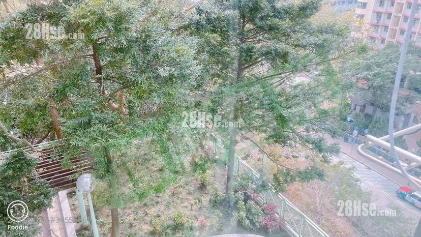 Hong Ying Court Sell 3 Bedrooms , 1 Bathroom 489 ft²