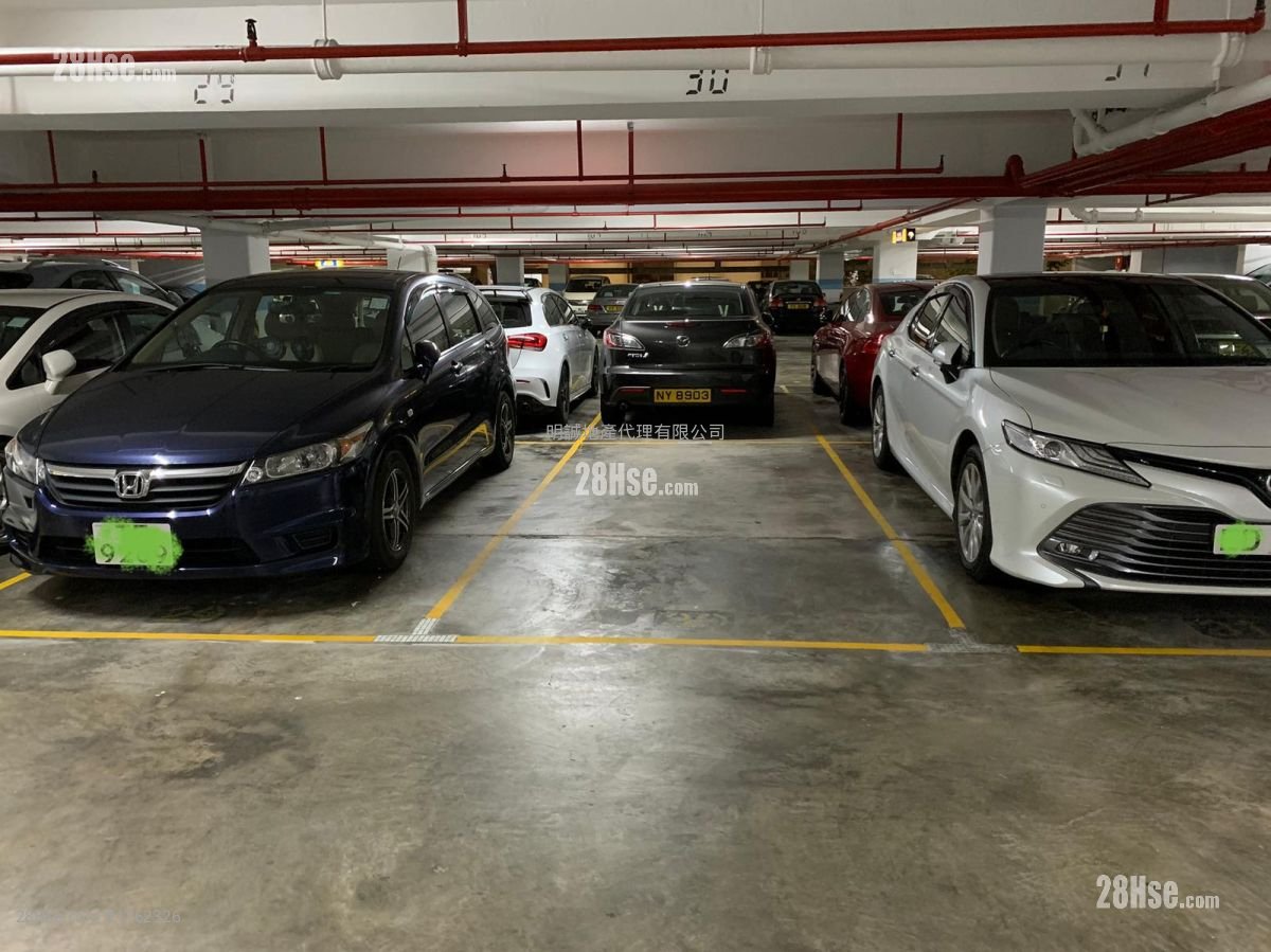 City One Shatin Rental