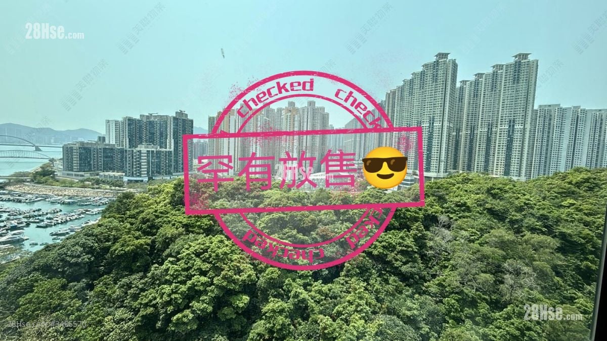 清水湾半岛 售盘 4 房 1,038 平方尺