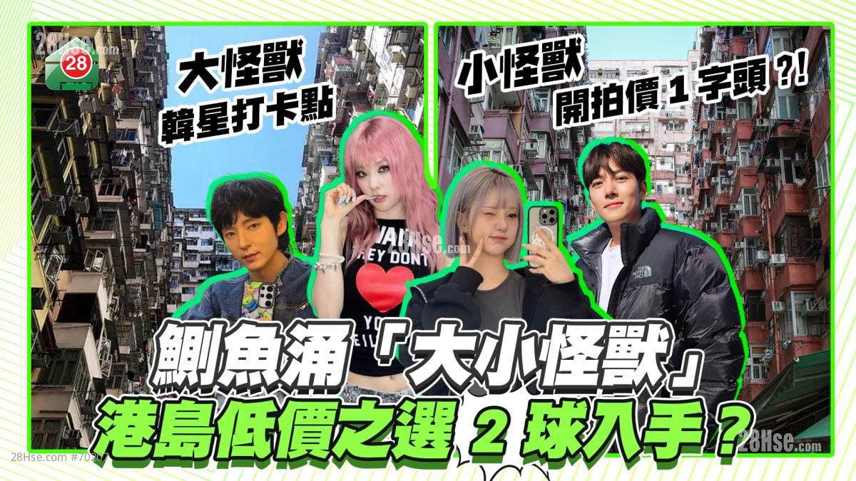2球入手？｜鰂魚涌「大小怪獸」港島低價之選 「大怪獸」成韓星訪港打卡熱點！「小怪獸」開拍價1字頭？