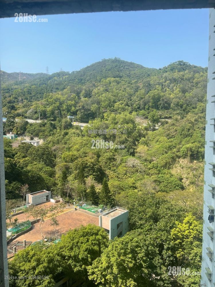 美松苑 租盤 2 房 , 1 浴室 440 平方呎