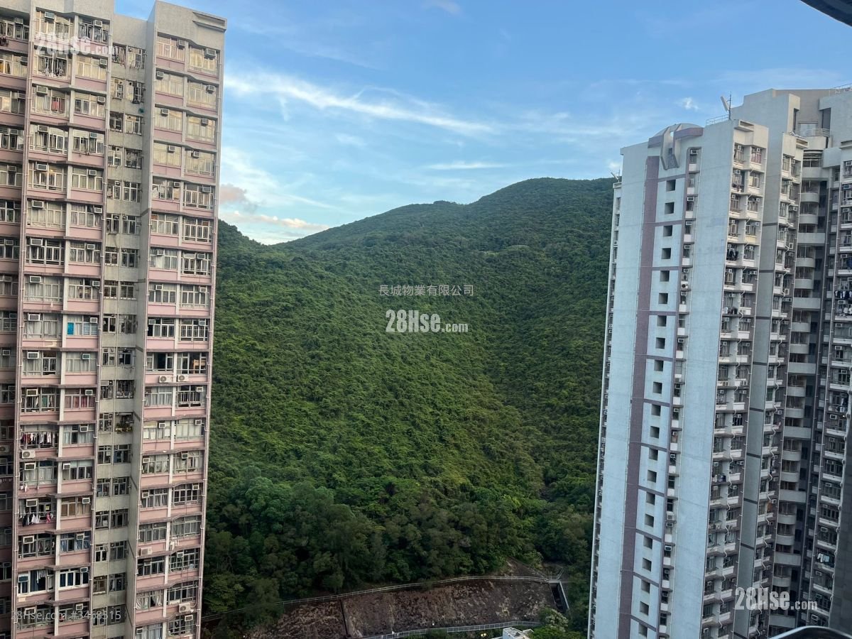 佳翠苑 售盘 538 平方尺