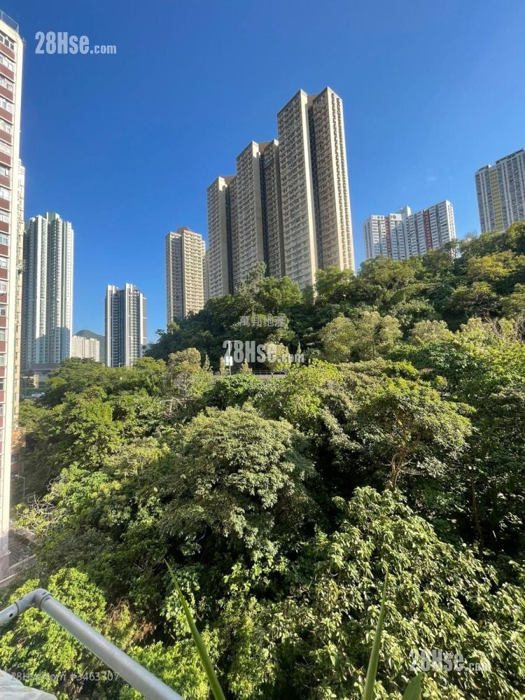 崇新阁 售盘 2 房 , 1 浴室 340 平方尺