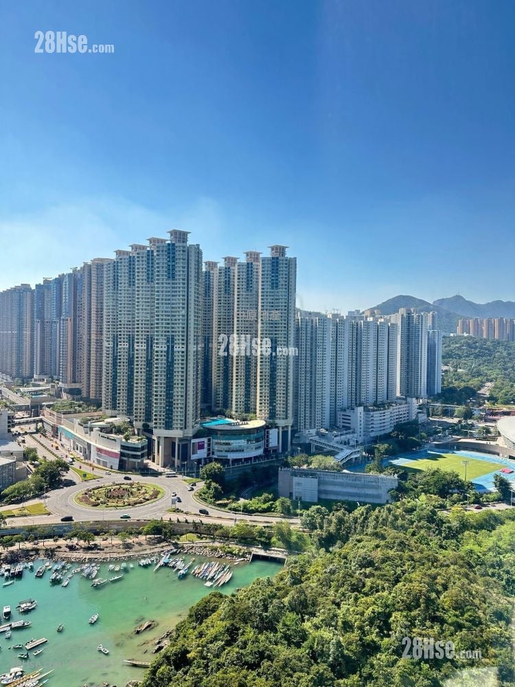 清水湾半岛 售盘 2 房 769 平方尺