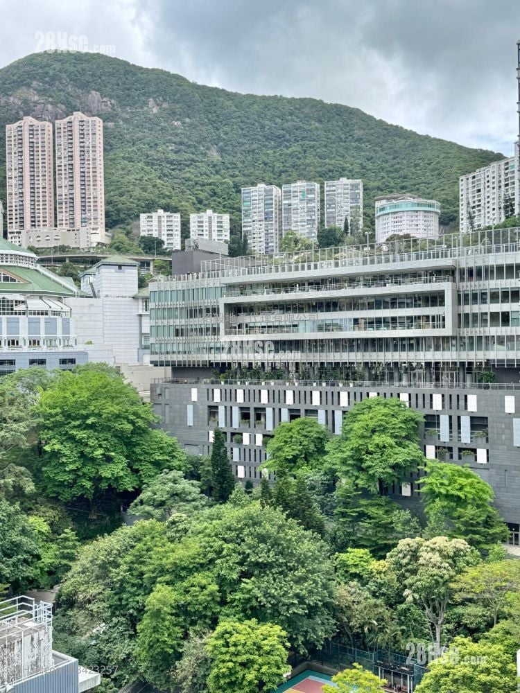 嘉逸軒 租盤 2 房 , 1 浴室 521 平方呎