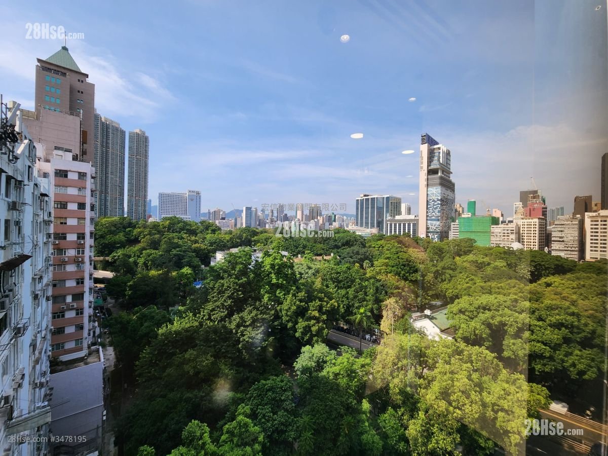 新港中心 租盘 5+ 房