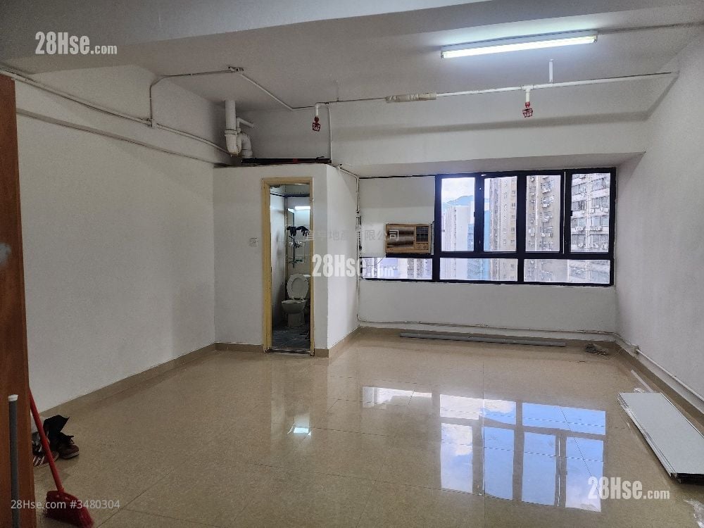 国际 482建尺 租7300