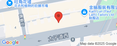 Owl Square@Prince Edward Rd W 301 低層 物業地址