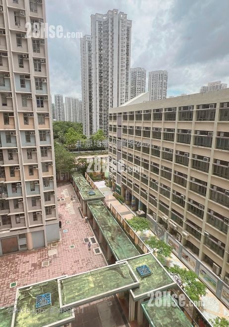 Tin Chung Court Sell 3 Bedrooms 650 ft²