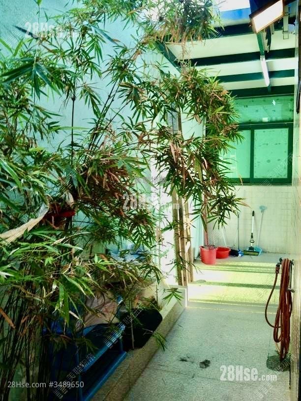 夏威夷豪園 售盤 1,037 平方呎
