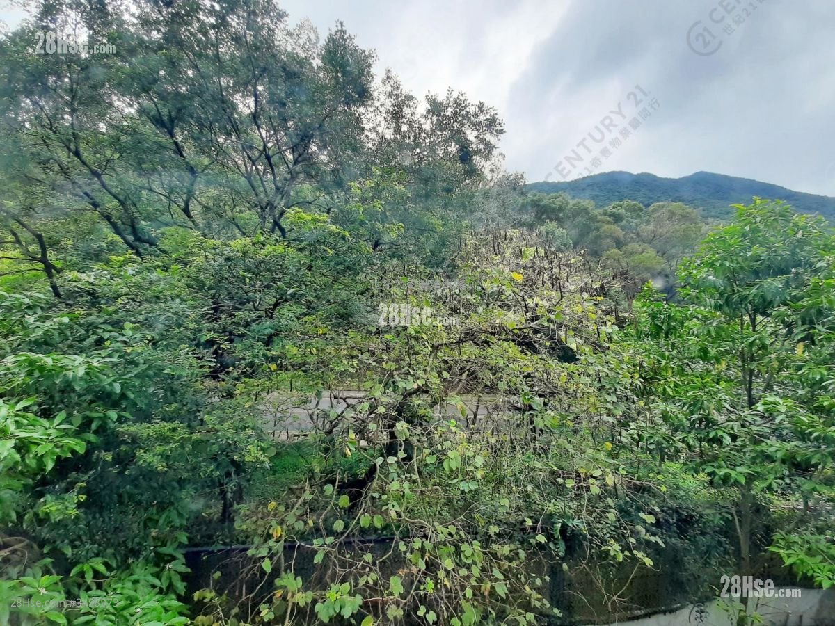 傲泷 售盘 1,162 平方尺