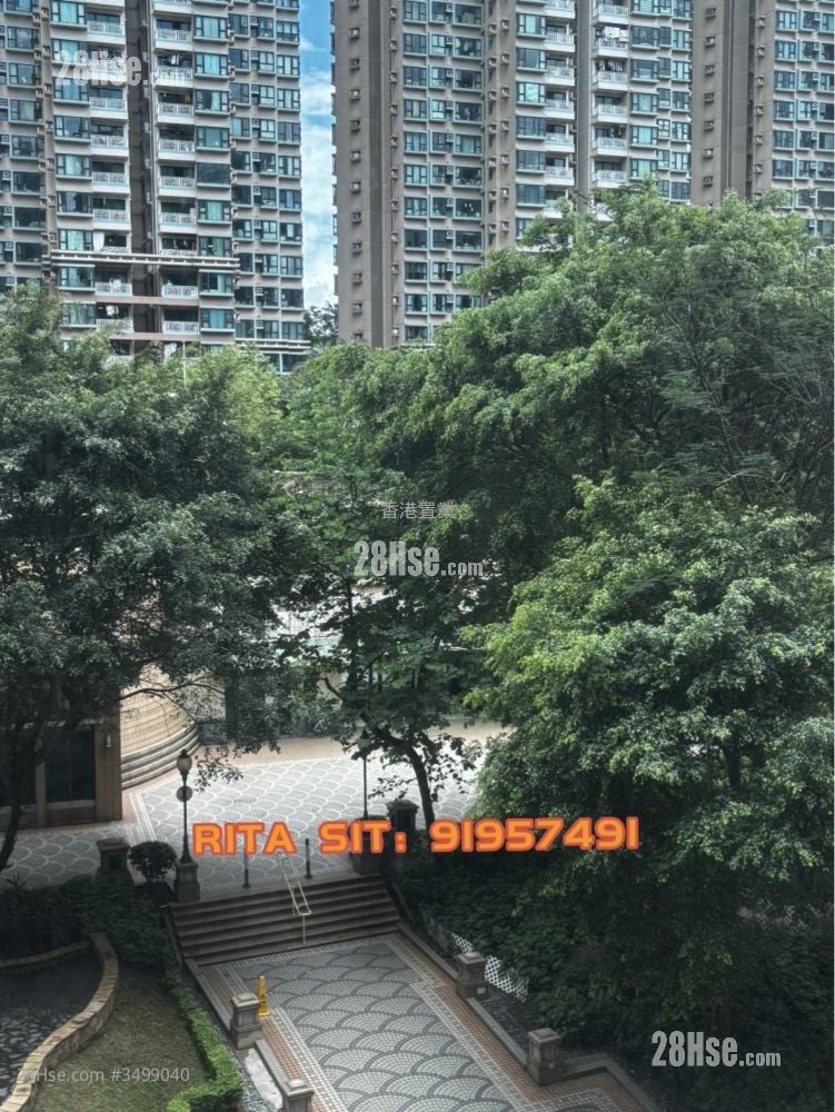 珀丽湾 租盘 2 房 , 1 浴室 537 平方尺
