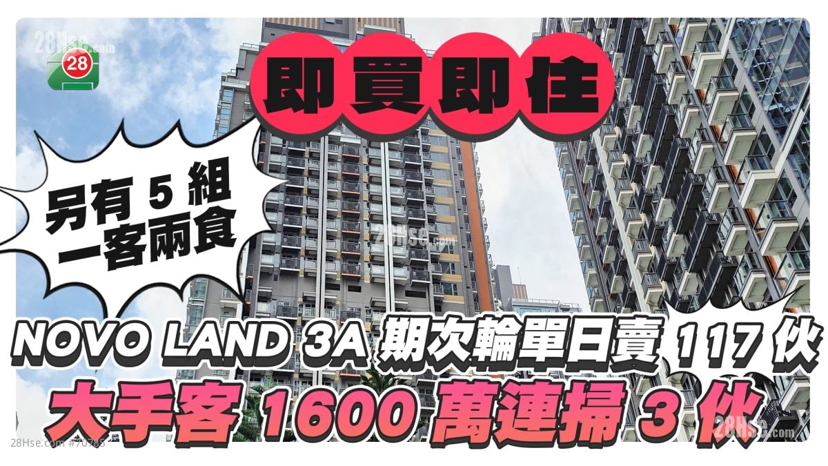 現樓即買即住｜NOVO LAND 3A期次輪單日賣117伙 大手客1600萬連掃3伙