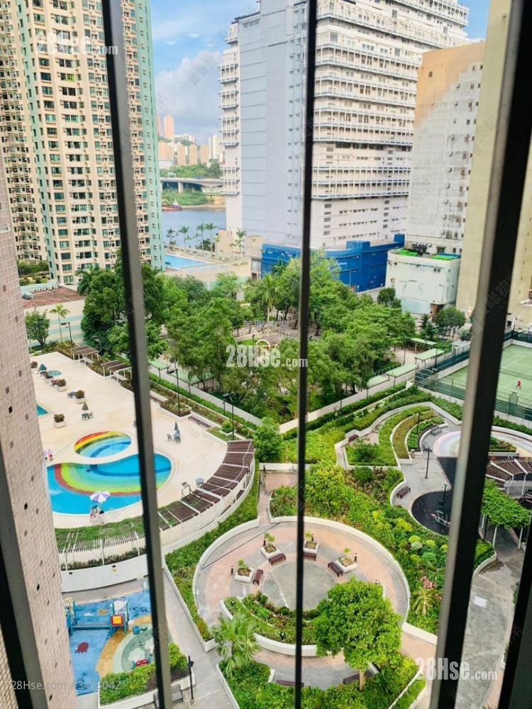 翠怡花园 租盘 2 房 , 1 浴室 368 平方尺