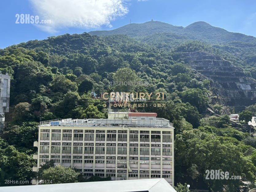 Lime Gala Rental 1 Bedroom , 1 Bathroom 353 ft²