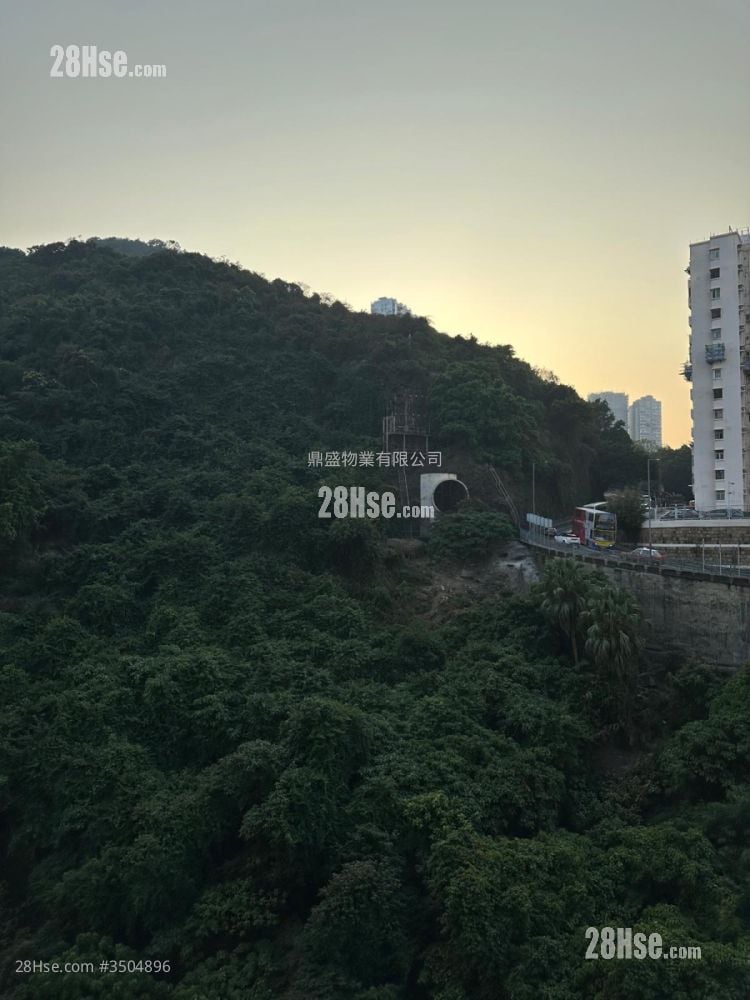 君豪峰 租盤 1 房 , 1 浴室 300 平方呎